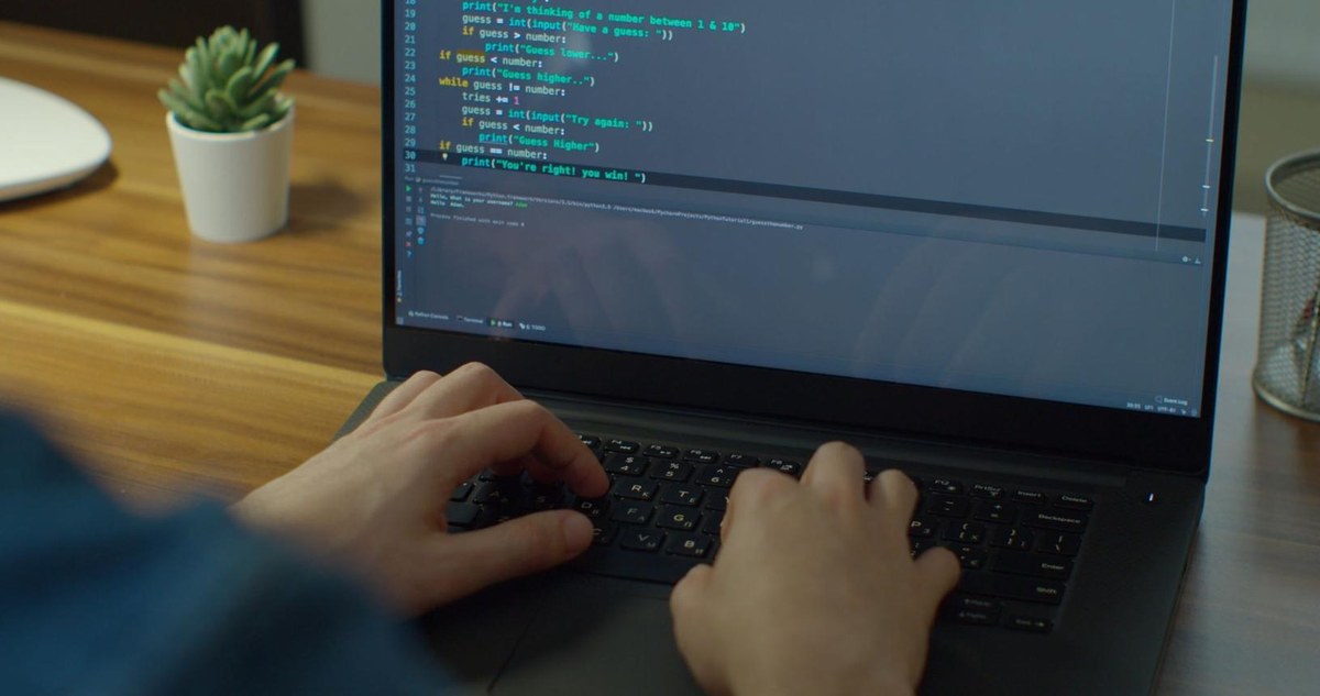 Module 2: Python and LLM API Integration