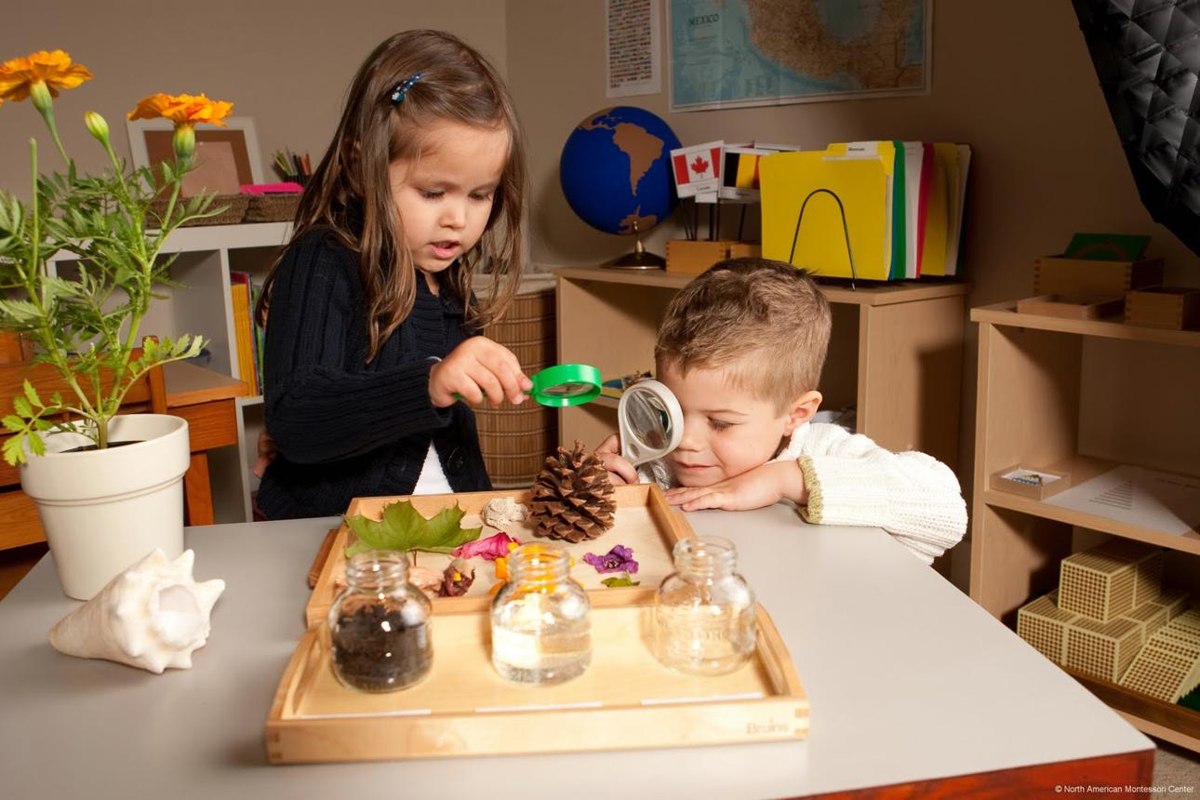 Nature and Environmental Learning Corner