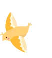 Ecareerplus Bird
